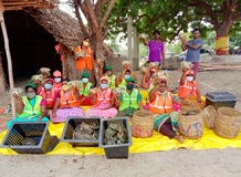 Crab-Harvest-Mela-01