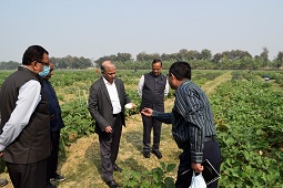 DDG-Horticultural-Science-01