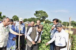 DG-ICAR-visits-Cowpea-Germplasm-Field-Day-01