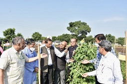 DG-ICAR-visits-Cowpea-Germplasm-Field-Day-02