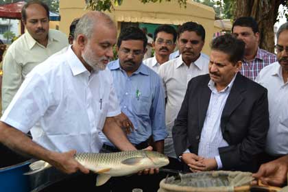 DG-cife-25-11-2013-1-s