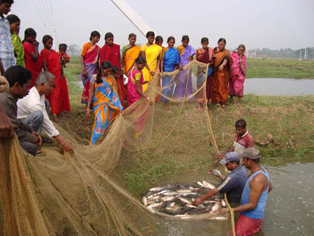 Field Days on Freshwater Aquaculture