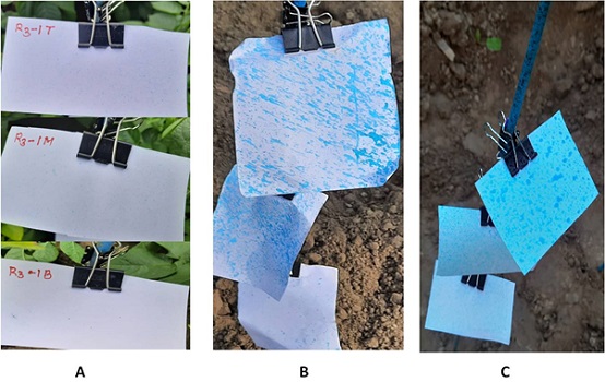 Drone-Based-Potato-Crop-Management-Technologies-03