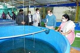 Enclosure-Culture-03