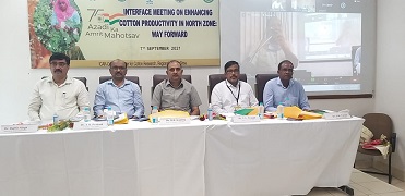 Enhancing-Cotton-Productivity-in-North-India-01