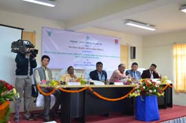 ExhibitionDDInterview-0302072015