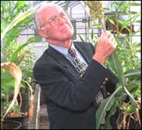 Farewell-to-Norman-Borlaug-13-09-2009_clip_image005
