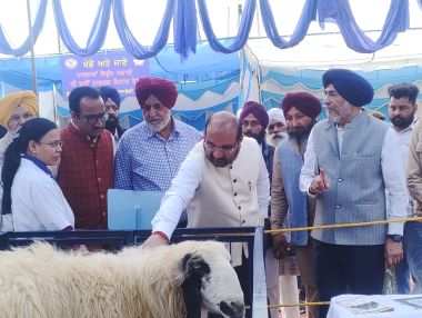 Livestock Sector Central to Viksit Bharat: DG, ICAR Advocates Innovation and Quality at GADVASU Pashu Palan Mela, Ludhiana
