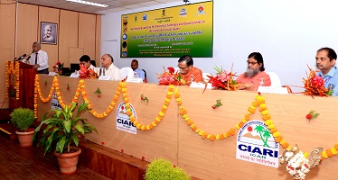 chemical-free-natural-farming