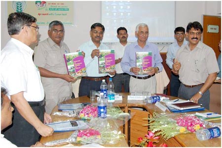 Harness-Pulse-Productivity-Self-Sufficiency-1