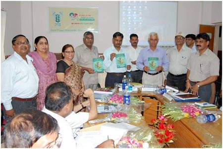 Harness-Pulse-Productivity-Self-Sufficiency-2