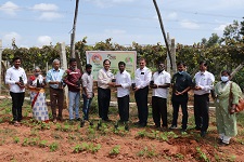 ICAR-NBAIR-Bengaluru-01