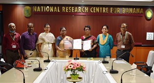 ICAR-NRC-for-Banana-Technology-transferred-with-Licensing-Mode-to-three-different-Stakeholders-in-Banana-Production-System-01