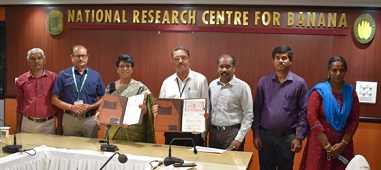 ICAR-NRC-for-Banana-Technology-transferred-with-Licensing-Mode-to-three-different-Stakeholders-in-Banana-Production-System-03