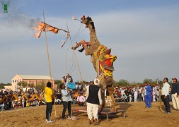 ICAR-NRC-on-Camel-showcases-relevance-of-Camel-during-International-Camel-Festival-03
