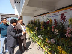 ICAR_News_Release-4_-_NDO_2013