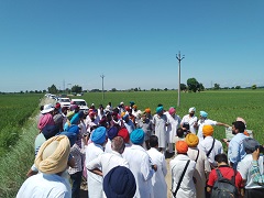 Inter-State-Travel-Seminar-on-Direct-Seeded-Rice-DSR-organized-02