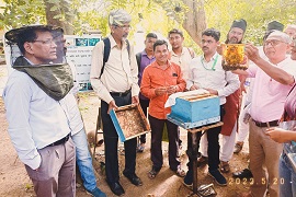 KVK-Palghar-celebrates-World-Bee-Day-2022-2