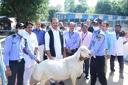 Minister-of-Animal-Husbandry-Dairy-Development-Government-of-Maharashtra-visits-ICAR-CSWRI-Rajasthan-02