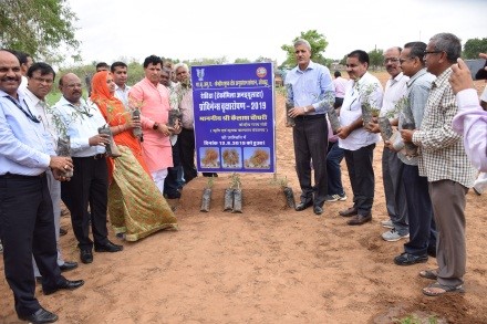 MoS-CAZRI-09-08-2019-3