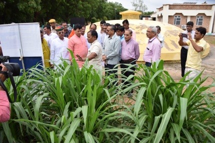 MoS-CAZRI-09-08-2019-5