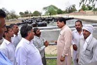 MoS-CIRB-01-06-2016-1