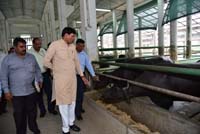 MoS-CIRB-01-06-2016-2