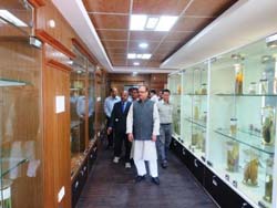 Mos-cife-25-11-2013-2