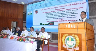 PHOTO-2019-11-18-00-26-40