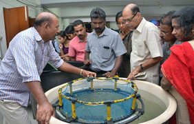 PHoto2ModelofSeacagefarming.jpg