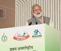 PM-IAC-2016-4.jpg