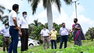 PULSE-DEVELOPMENT-01