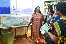 PhotoNepaleonWrass-01