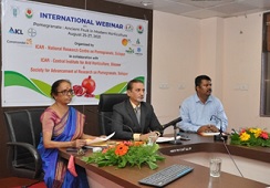 Pomegranate-Ancient-Fruit-01