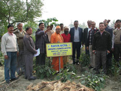 RKM_nicra-24-01-2013-1