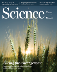 Science-Wheat-cover-21-07-2014-s