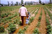 Self-propelled_Power_Weeder