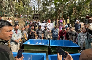 Stakeholder-consultation-ornamental-fish-farming live-04_1.jpg