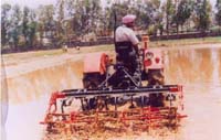 Tractor_Mounted_Pulverising_roller_attachment.jpg 