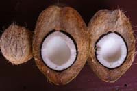 VPM-Coconut-08-07-2015-3.jpg