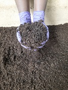Vermicompost-with-CN-ratio-of-25-is-to-01