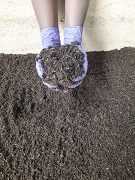 Vermicompost-with-CN-ratio-of-30-is-to-01