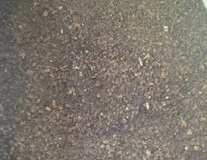 WEALTH-OUT-OF-WASTE-02