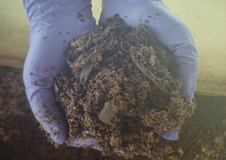 WEALTH-OUT-OF-WASTE-03