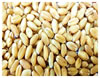 Wheat-HD-3117-2.jpg