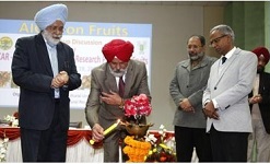 aicrp-fruits-21-01-2020-1