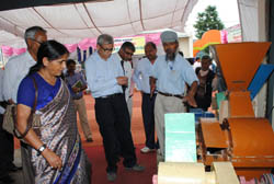 almora-03-25-09-2013