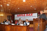 apple-day-23-09-2015-2.jpg