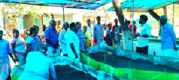 Report on Campaign for Balanced Use of Fertilisers under ICAR-ATARI Zone X, Hyderabad