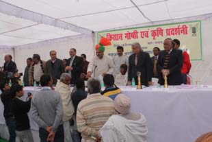 barnala-02-18122014.jpg
